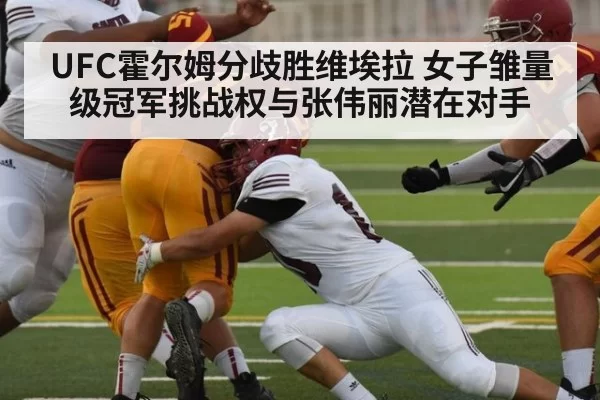 UFC霍尔姆分歧胜维埃拉 女子雏量级冠军挑战权与张伟丽潜在对手