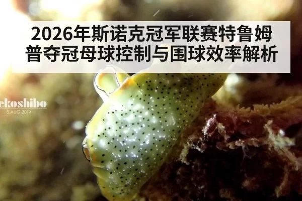 2026年斯诺克冠军联赛特鲁姆普夺冠母球控制与围球效率解析